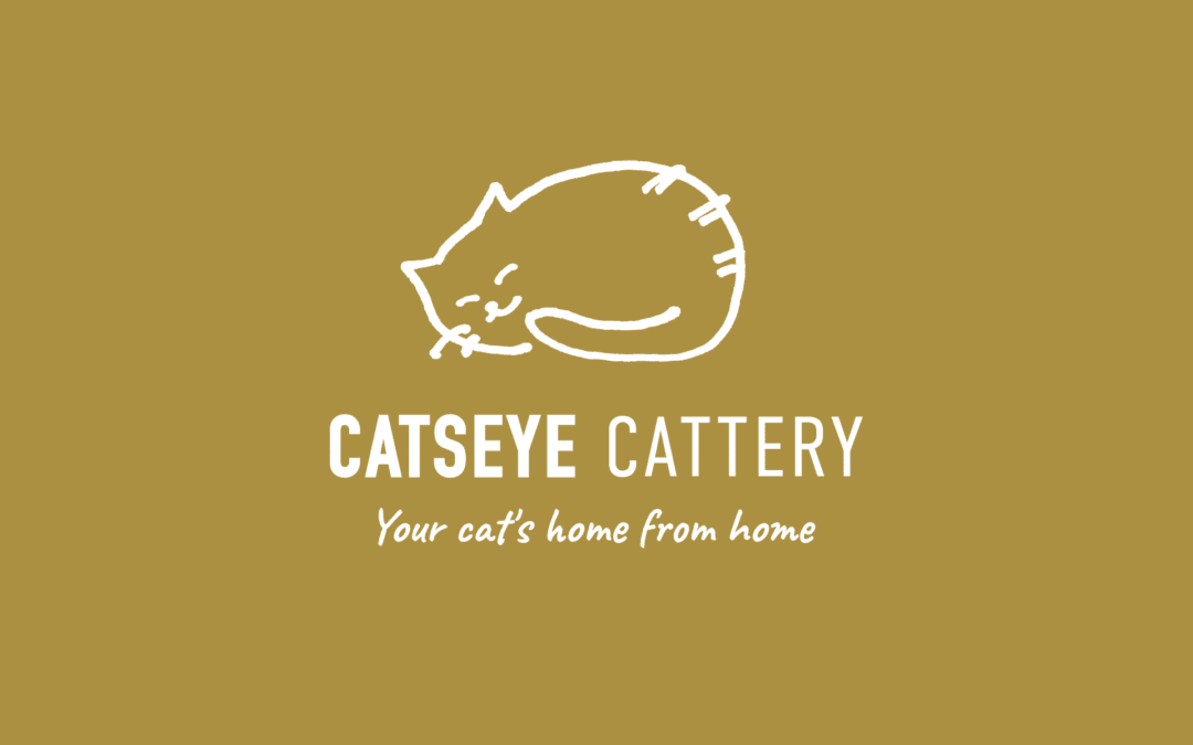 Catseye Cattery checks in with new brand and site